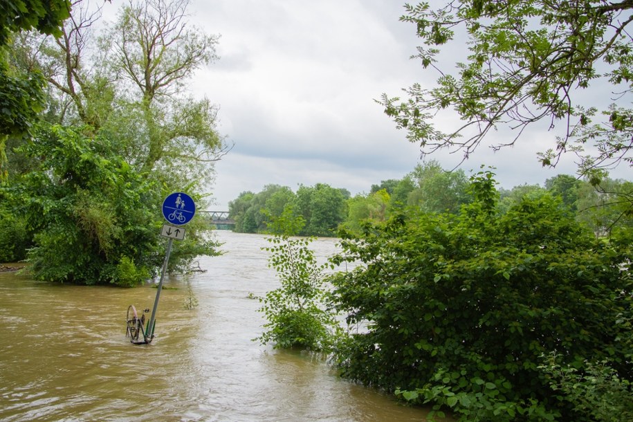 zdjęcie poglądowe /Shutterstock