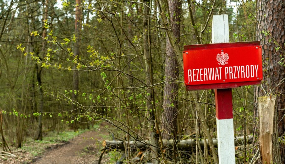 Zdjęcie poglądowe /Shutterstock