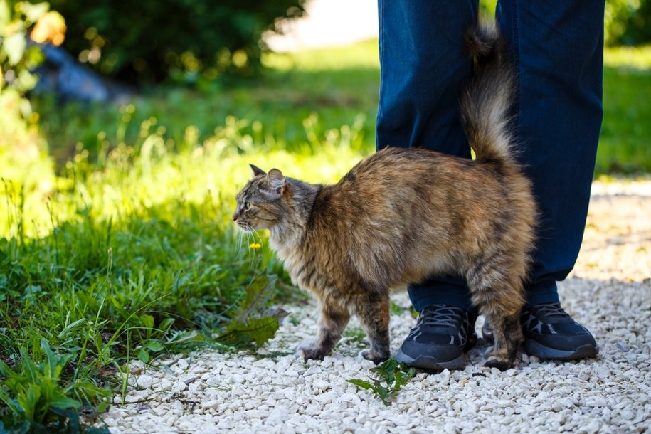 Zdjęcie poglądowe /Shutterstock