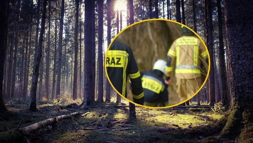 Zdjęcie poglądowe /Shutterstock