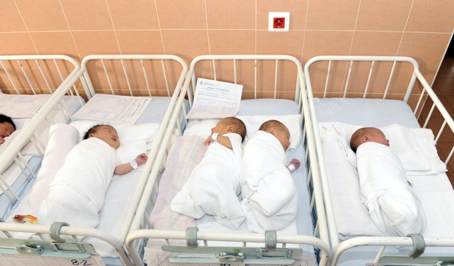 Zdjęcie poglądowe /Shutterstock
