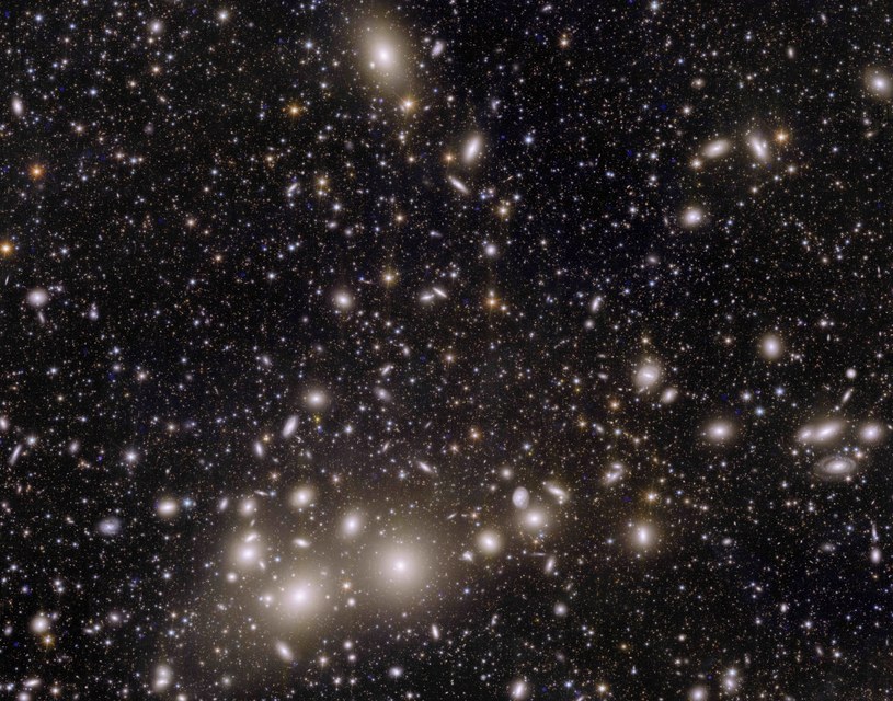 Zdjęcie pokazuje 1000 galaktyk należących do Gromady w Perseuszu i ponad 100 000 dodatkowych galaktyk dalej w tle, a każda zawiera nawet setki miliardów gwiazd. /ESA/Euclid/Euclid Consortium/NASA, obróbka obrazu: J.-C. Cuillandre (CEA Paryż-Saclay), G. Anselmi, CC BY-SA 3.0 IGO /domena publiczna