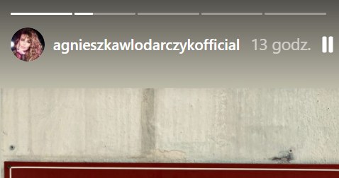 Zdjęcie przed urzędem stanu cywilnego, Instagram, fot. @agnieszkawlodarczykofficial /Instagram