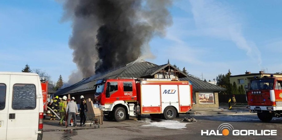 Zdjęcie udostępnione przez redakcję portalu halogorlice.info /Halo Gorlice /
