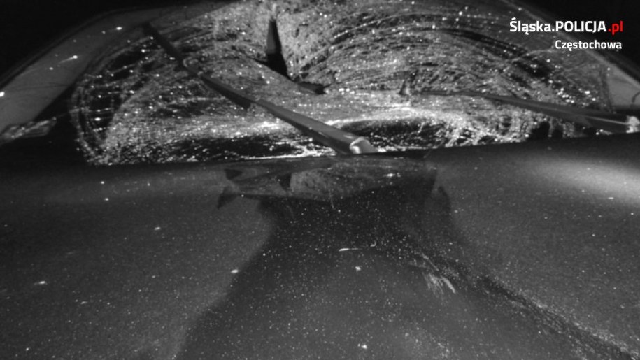 Zdjęcie udostępnione przez służby /Policja