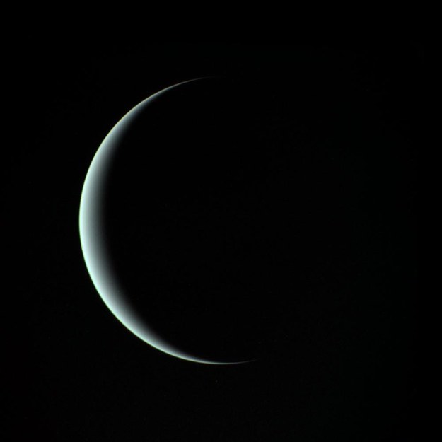 Zdjęcie Urana wykonane 24 stycznie 1986 roku przez sondę Voyager 2 /NASA/JPL /Materiały prasowe