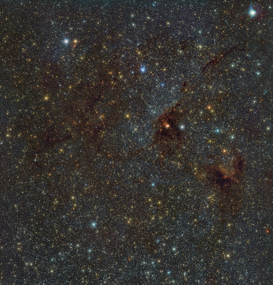 Zdjęcie w podczerwieni mgławicy NGC 6188, oddalonej od nas o około 4100 lat świetlnych, w gwiazdozbiorze Ołtarza. /ESO/VVVX survey /Materiały prasowe