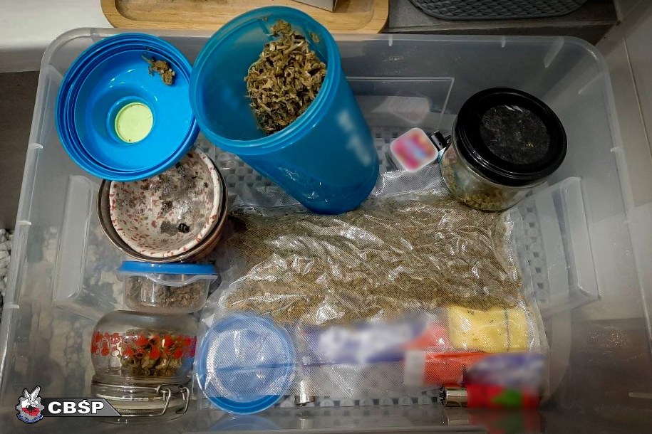 Zdjęcie z akcji CBŚP /CBŚP