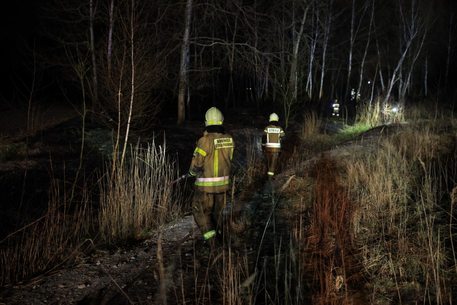 Zdjęcie z akcji gaśniczej /Jarek Praszkiewicz /PAP