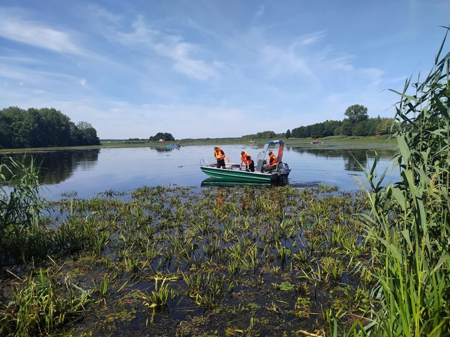 Zdjęcie z akcji odławiania śniętych ryb /Podkarpacki Urząd Wojewódzki w Rzeszowie /