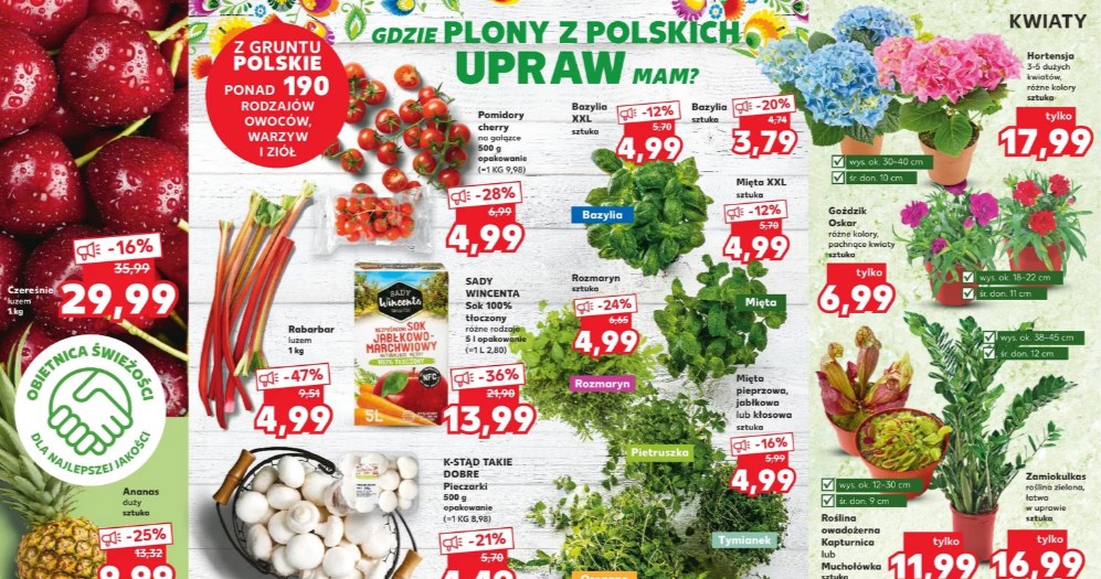 Zdjęcie z gazetki Kaufland na Ding.pl /ding.pl