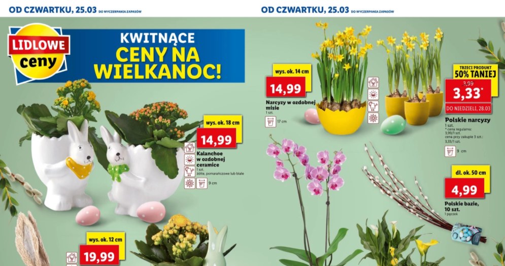 Zdjęcie z gazetki promocyjnej Lidla /ding.pl