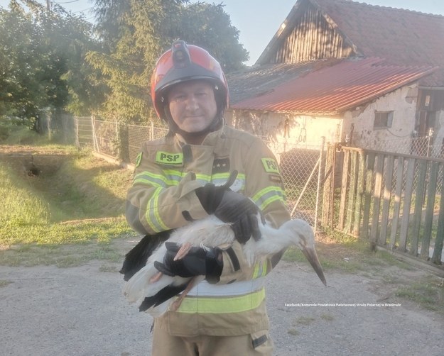 Zdjęcie z interwencji strażaków /Komenda Powiatowa Państwowej Straży Pożarnej w Braniewie /