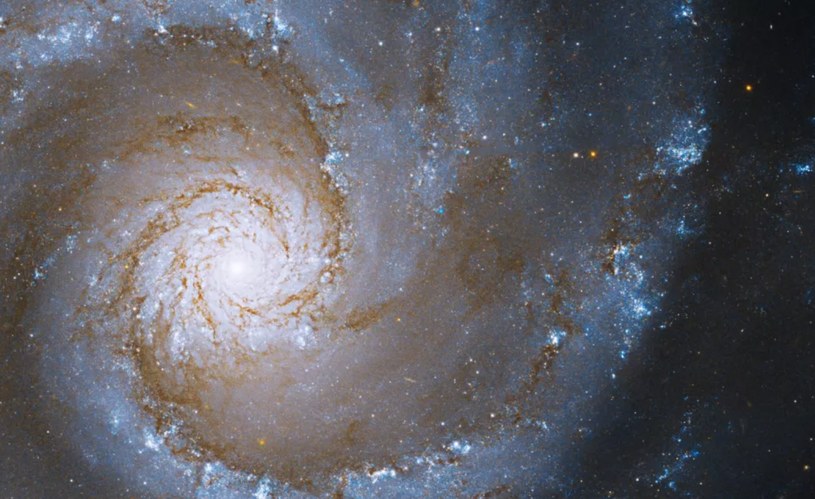 Zdjęcie z Kosmicznego Teleskopu Hubble`a przedstawia spiralną galaktykę oznaczoną skrótem NGC 3631 /NASA