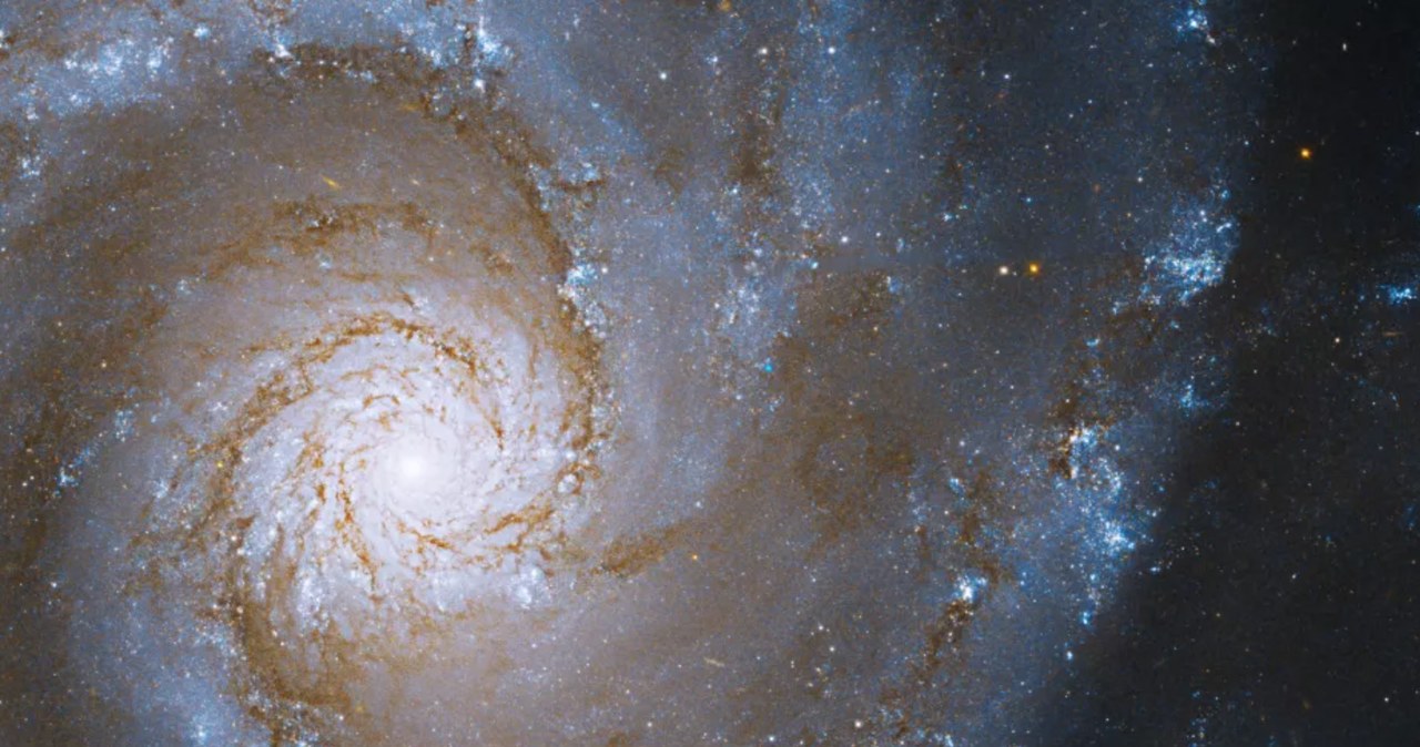 Zdjęcie z Kosmicznego Teleskopu Hubble`a przedstawia spiralną galaktykę oznaczoną skrótem NGC 3631 /NASA