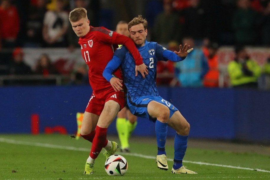 Zdjęcie z meczu Walia-Finlandia /GEOFF CADDICK/AFP/East News /East News
