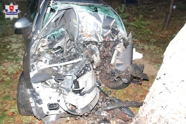 Zdjęcie z miejsca wypadku /http://lubelska.policja.gov.pl /