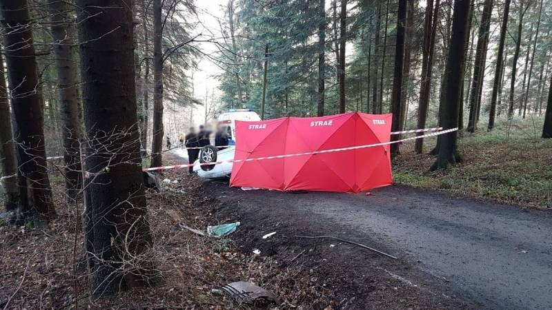 Zdjęcie z miejsca wypadku /PSP Nowy Sącz /