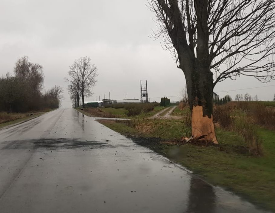 Zdjęcie z miejsca wypadku /Policja