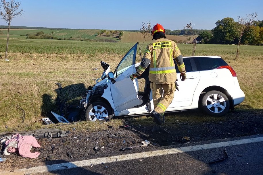 Zdjęcie z miejsca wypadku /KM PSP w Bydgoszczy /PAP