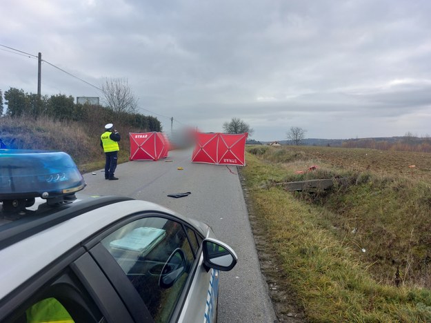 Zdjęcie z miejsca wypadku /Policja Podkarpacka /