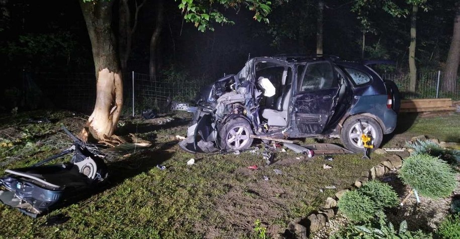 Zdjęcie z miejsca wypadku /KPP Tomaszów Lubelski /Policja