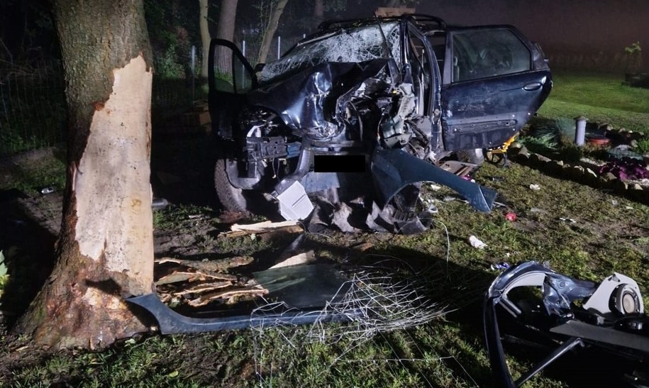 Zdjęcie z miejsca wypadku /KPP Tomaszów Lubelski /Policja