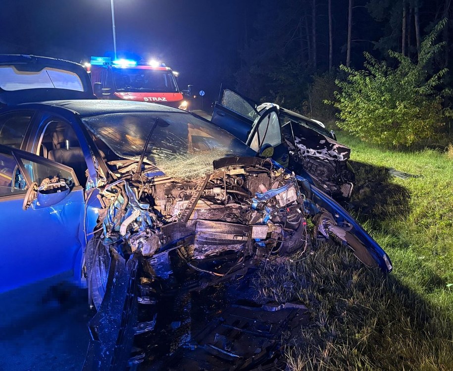 Zdjęcie z miejsca wypadku /KPP Biłgoraj /Policja