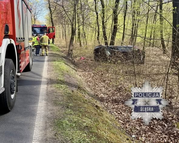 Zdjęcie z miejsca wypadku /Policja Śląska /