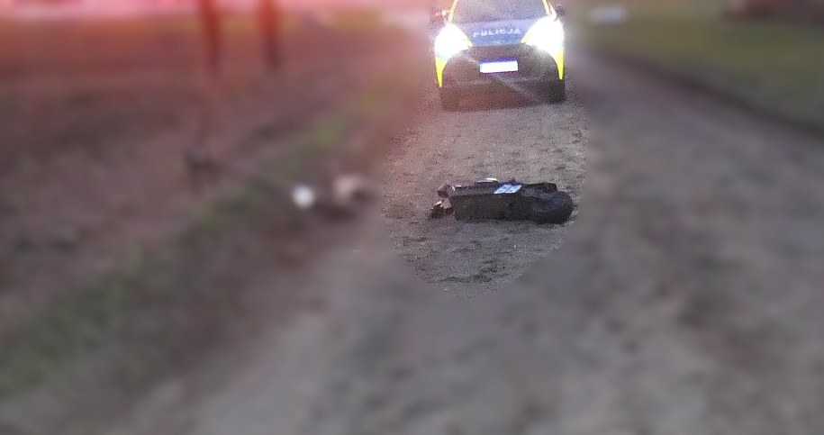 Zdjęcie z miejsca wypadku /Policja Pomorska /