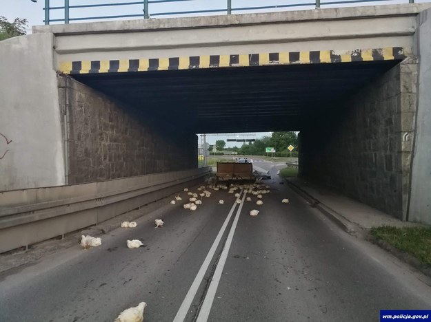 Zdjęcie z miejsca zdarzenia udostępnione przez policję /Policja