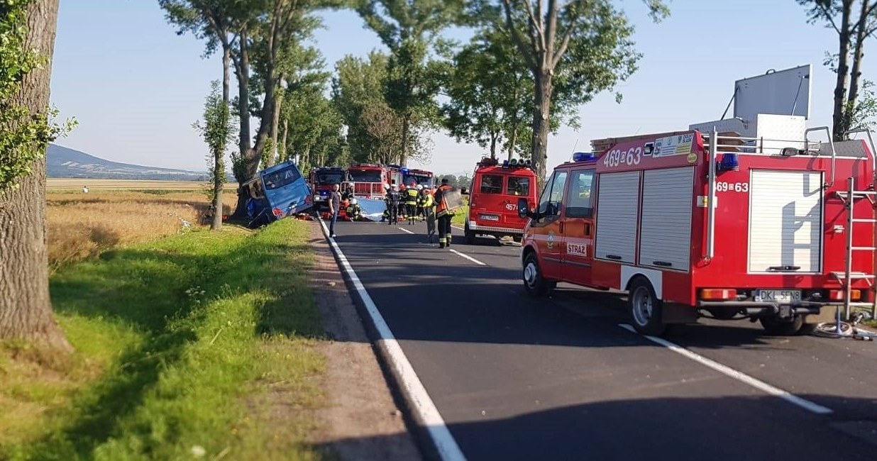 Zdjęcie z miejsca zdarzenia / OSP DOMASZKÓW /