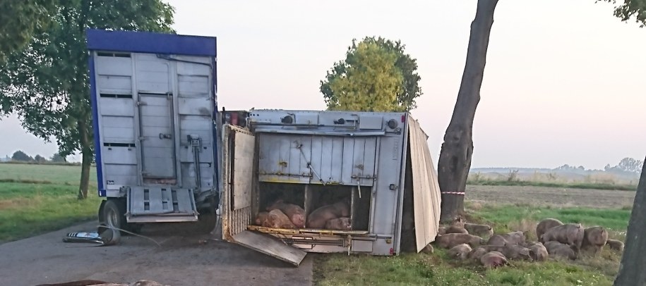 Zdjęcie z miejsca zdarzenia /Gorąca Linia RMF FM /