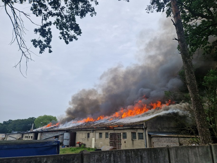 Zdjęcie z miejsca zdarzenia /Gorąca Linia RMF FM