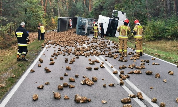 Zdjęcie z miejsca zdarzenia /KPP Biłgoraj /Policja