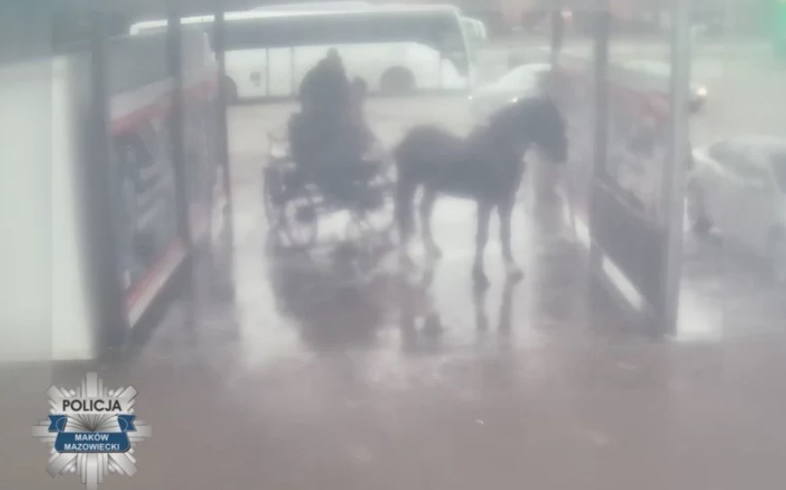 Zdjęcie z monitoringu /KPP w Makowie Mazowieckim /Policja