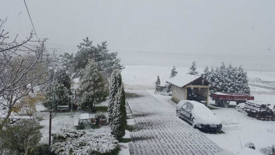 Zdjęcie z okolic Wejherowa /Gorąca Linia RMF FM