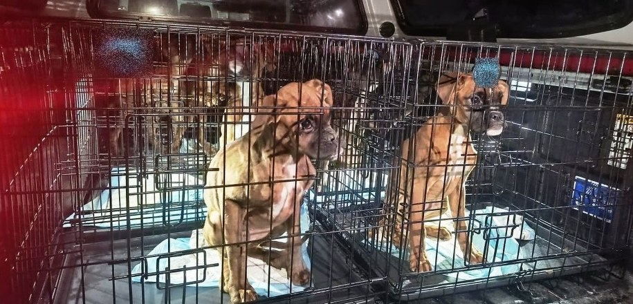 Zdjęcie z policyjnej interwencji w gminie Zagnańsk /Świętokrzyska policja /Policja