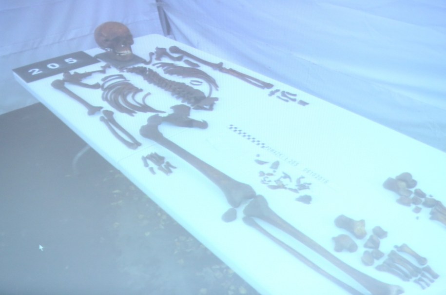 Zdjęcie zaprezentowane podczas konferencji prasowej IPN /reprodukcja /PAP