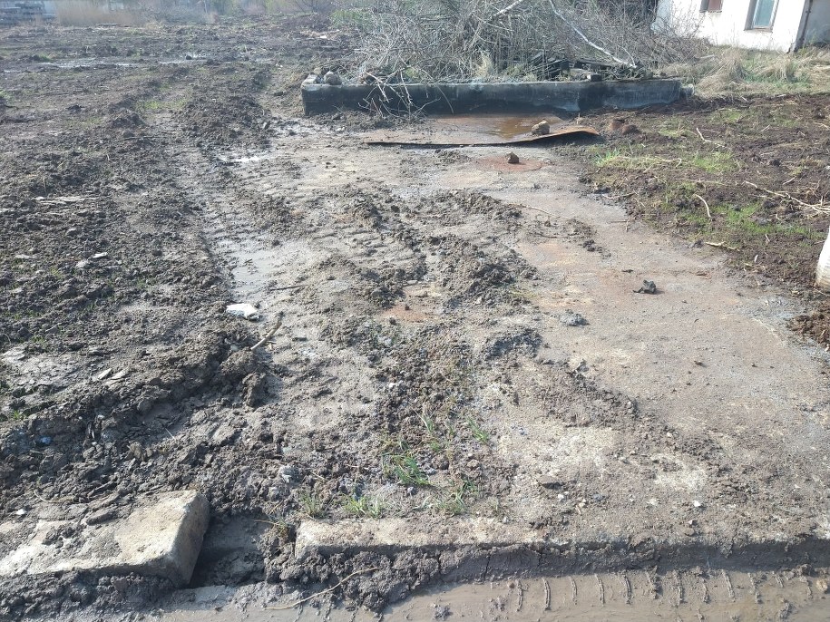 Zdjęcie zrobione kilka dni po zgłoszeniu, wtorek 20 kwietnia /prof. Mariusz Czop /