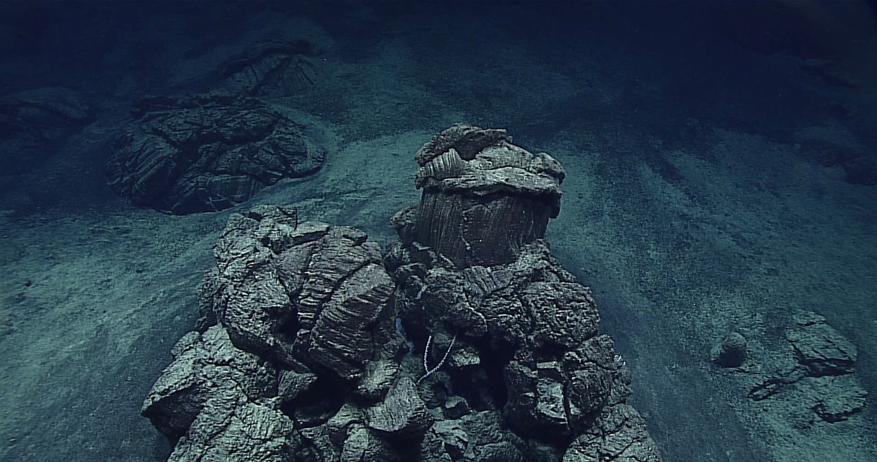 Zdjęcie zrobione podczas wyprawy na dno Rowu Mariańskiego /NOAA Office of Ocean Exploration and Research, 2016 Deepwater Exploration of the Marianas /domena publiczna