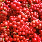 Zdobi ogród, a jego owoce to tarcza ochronna dla wątroby. Można jeść na surowo lub zrobić sok