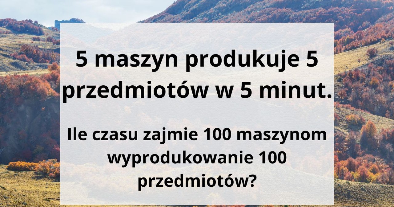 Zdołasz poprawnie odpowiedzieć na tę zagadkę logiczną? /Canva Pro /Canva Pro