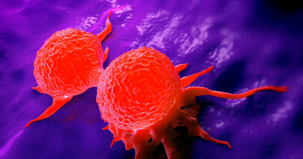 Zdolność komórek nowotworowych do naciekania innych organów to tzw. metastaza /123RF/PICSEL