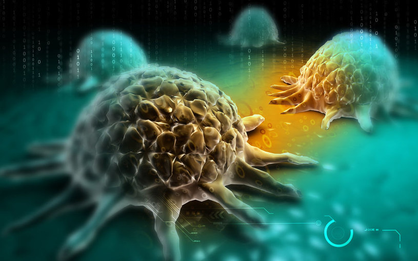 Zdolności komórek nowotworowych zaskakują /123RF/PICSEL