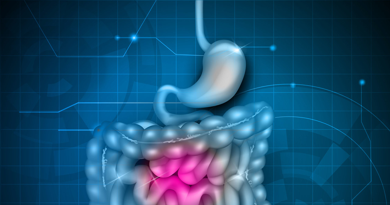 Zdrowe jelita to podstawa - dzięki nim unikniesz i bólu brzucha, i... depresji /123RF/PICSEL