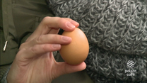 "Zdrowie na widelcu": Jajka a cholesterol. Fakty i mity