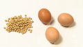 „Zdrowie na widelcu”: Warzywa strączkowe. Garść soi zawiera tyle białka co trzy jajka