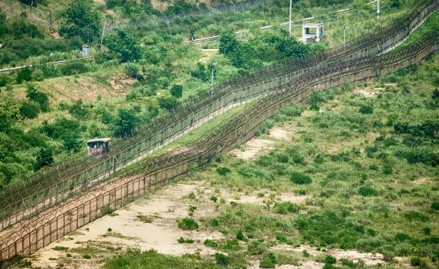 Zdumiewające odkrycie w strefie zdemilitaryzowanej między Koreą Północną a Południową