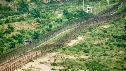 Zdumiewające odkrycie w strefie zdemilitaryzowanej między Koreą Północną a Południową